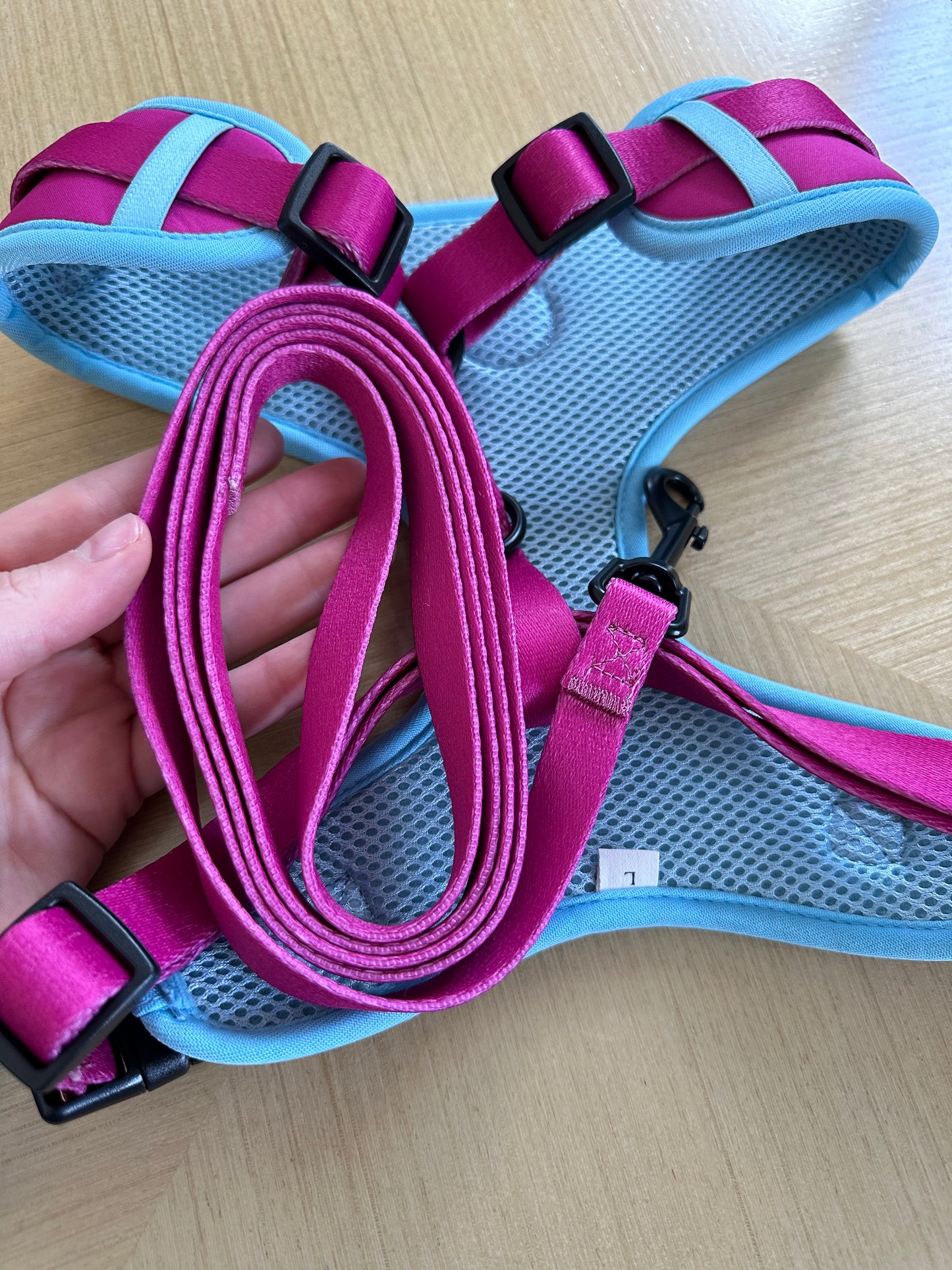 Pink Cat and Dog Leash and Harness